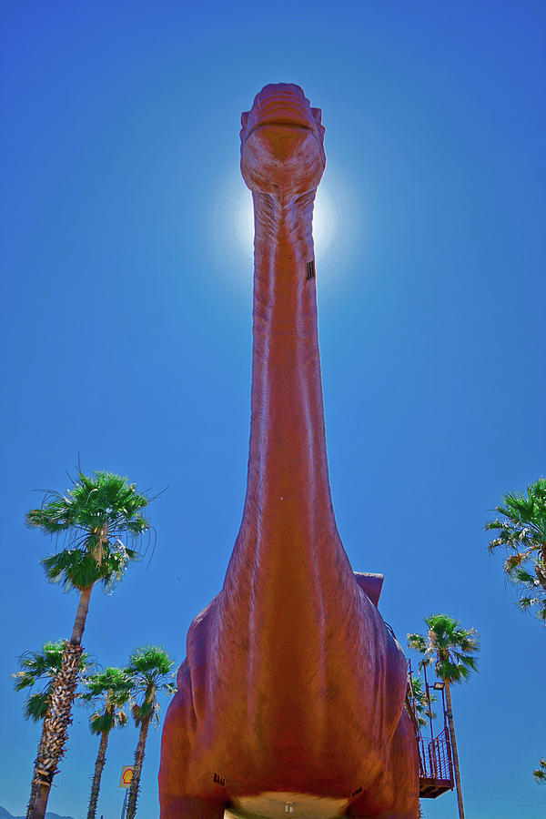 Cabazon Brontosaurus  Photograph by Matthew Bamberg
