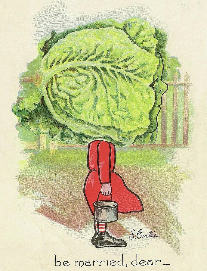 Cabbage Girl Digital Art by Long Shot
