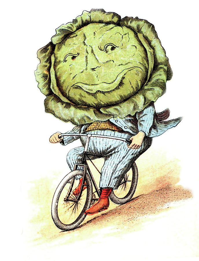 Cabbage Digital Art - Cabbage Man Driving Bicycle by Long Shot