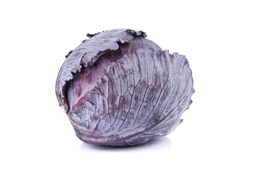 Cabbage Photograph by Numbeos