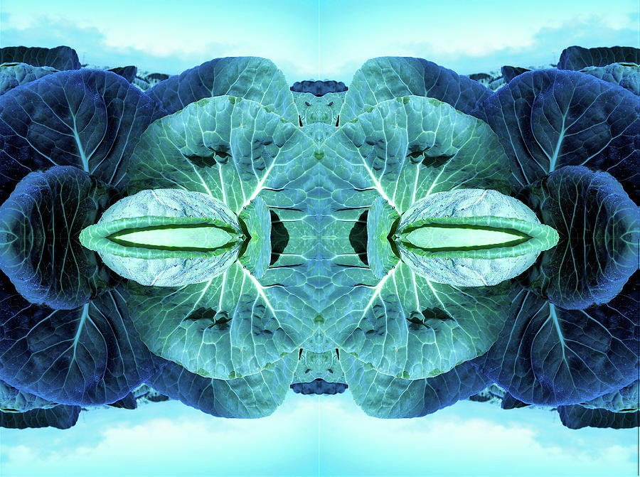 Cabbage Sky Abstract #2 Photograph by Lorena Cassady