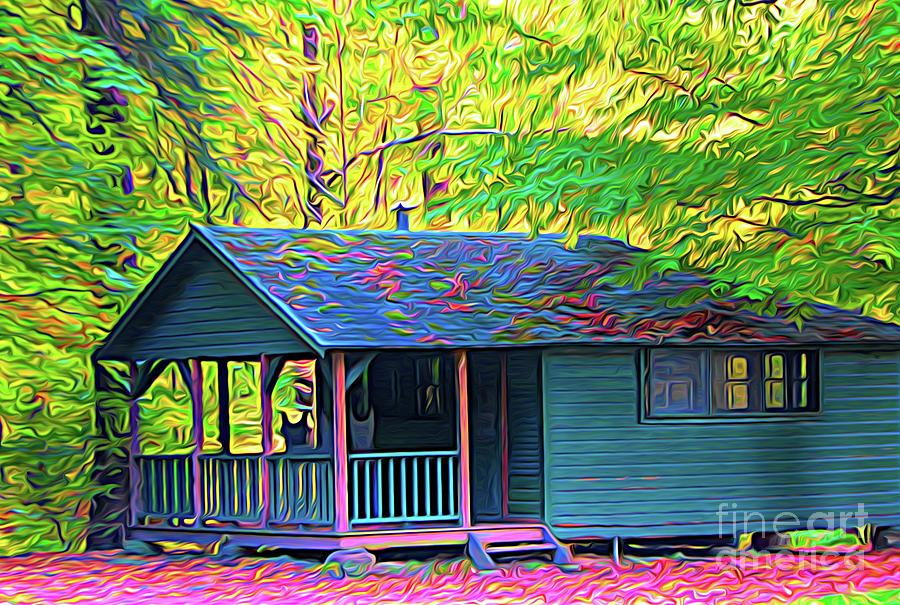 Cabin 2 at Allegany State Park NY Abstract Expressionism Photograph by Rose Santuci-Sofranko