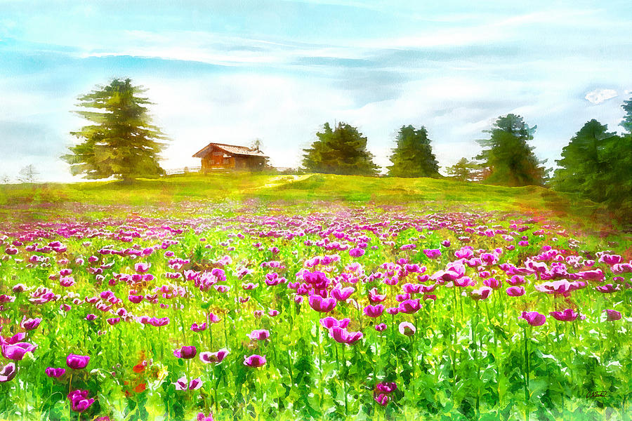 Cabin Amid Wildflowers - DWP1482165 Painting by Dean Wittle