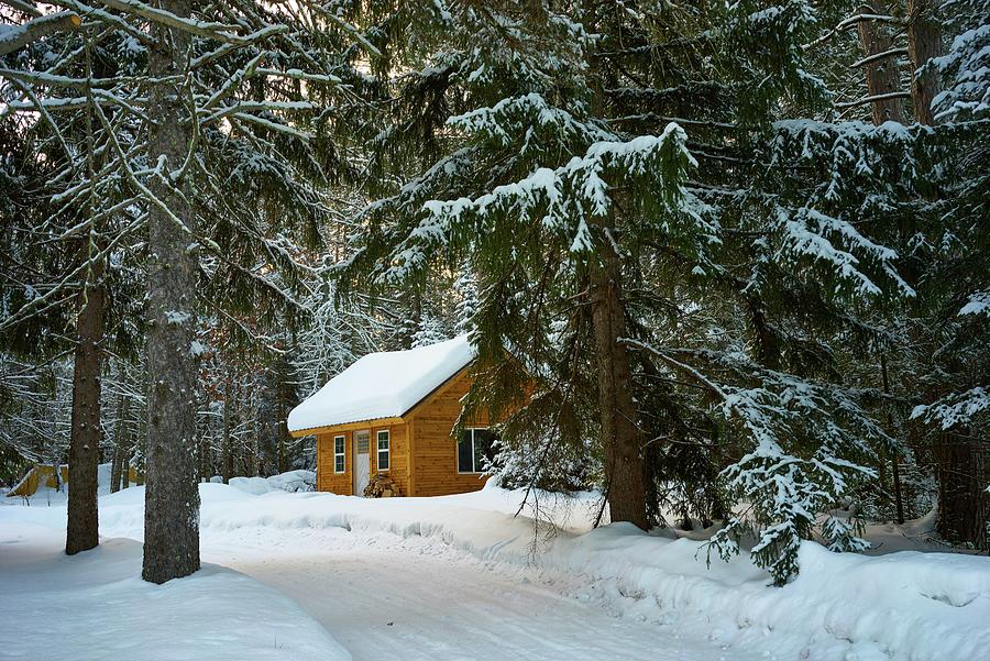 Cabin deep in the Woods Photograph by James Inlow
