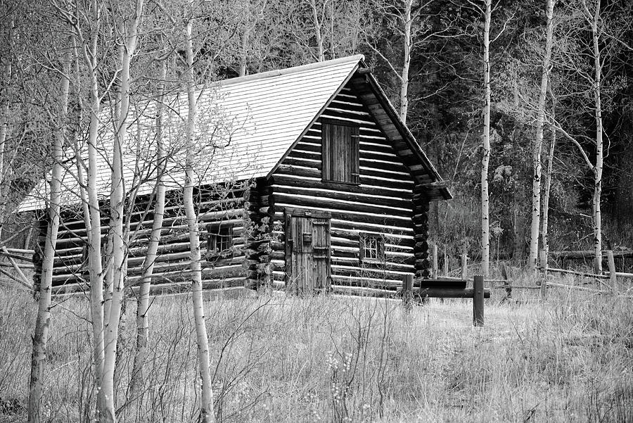 Cabin In The Aspens Photograph