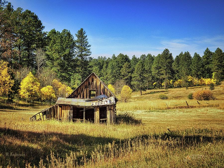 Cabin in The Black Hills 3 Photograph by Michael R Anderson - Fine Art ...