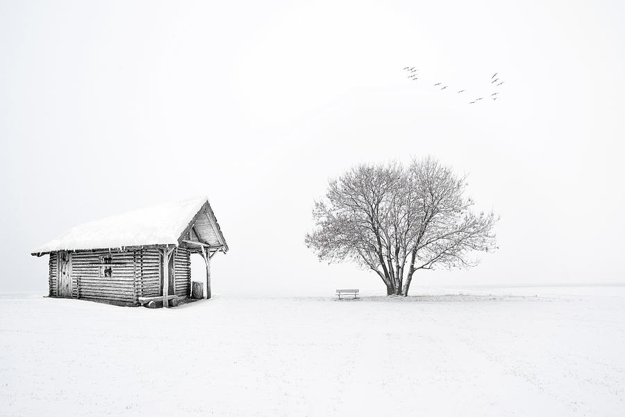 Cabin In The Snow Photograph by James DeFazio