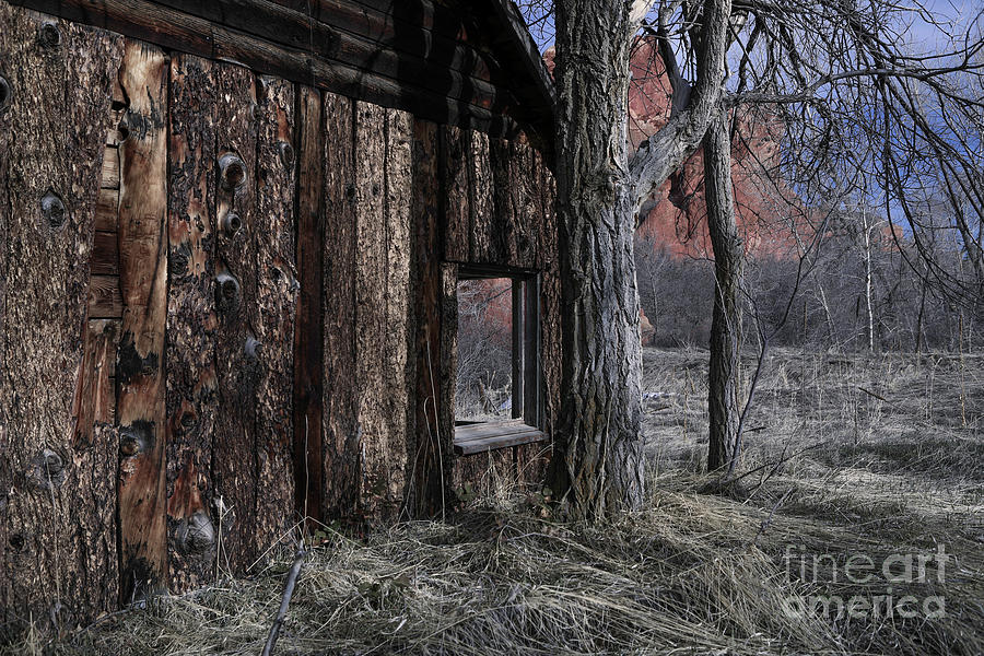 Cabin in the Woods Photograph by Barbara Schultheis