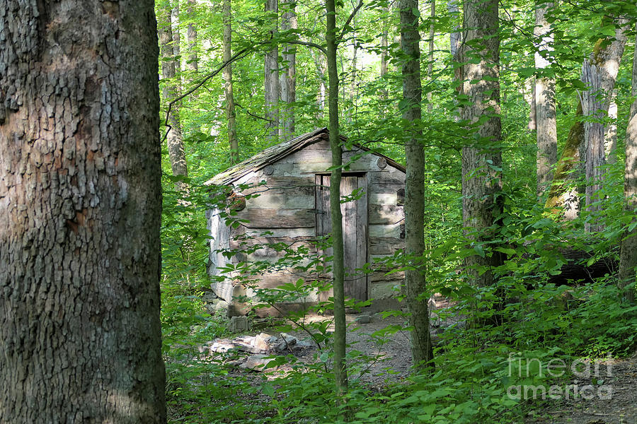 Cabin in the Woods Photograph by Bentley Davis