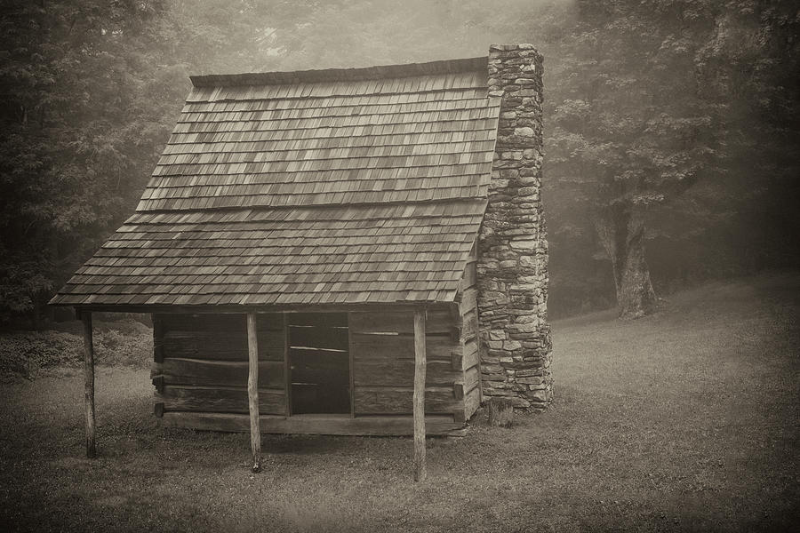 Cabin in the Woods - Days Gone By Photograph by Paul Mangold