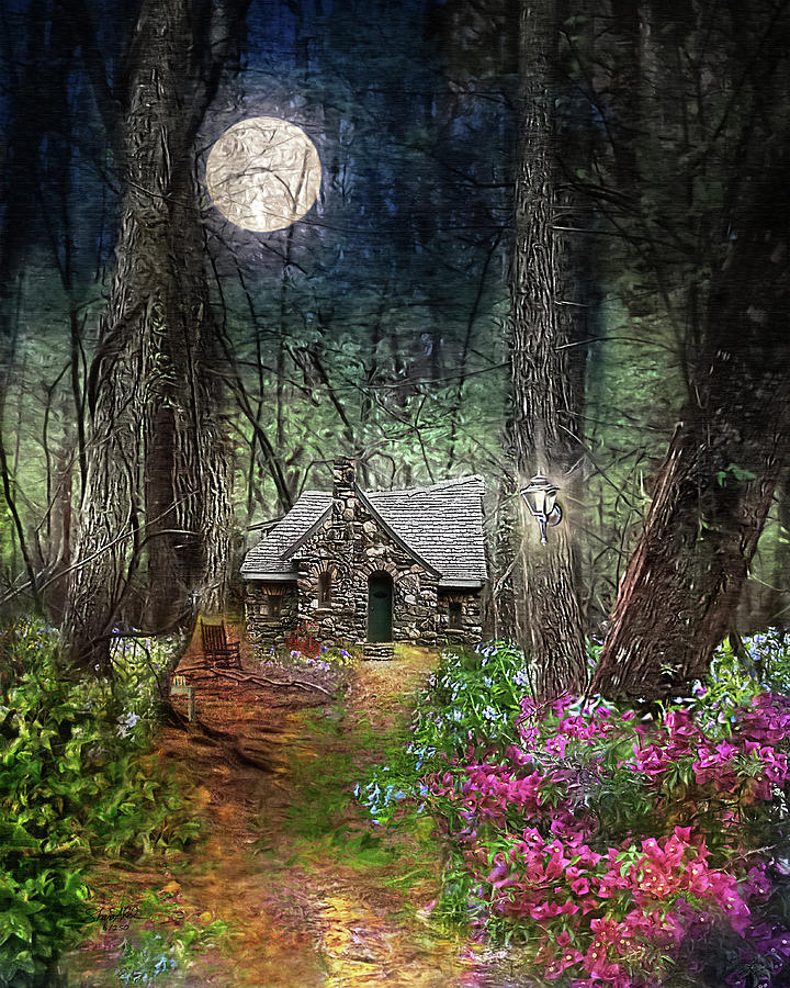 Cabin in the Woods - Limited Edition  Photograph by Shara Abel