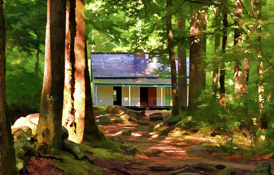 Cabin in the Woods Photograph by Roberta Byram