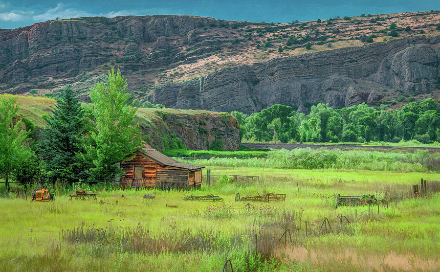 Cabin Life in Montana Photograph by Marcy Wielfaert