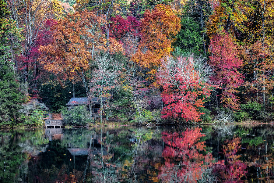 Fall Photograph - Cabin Nestled in Autumn Colors at the Lake by Debra and Dave Vanderlaan