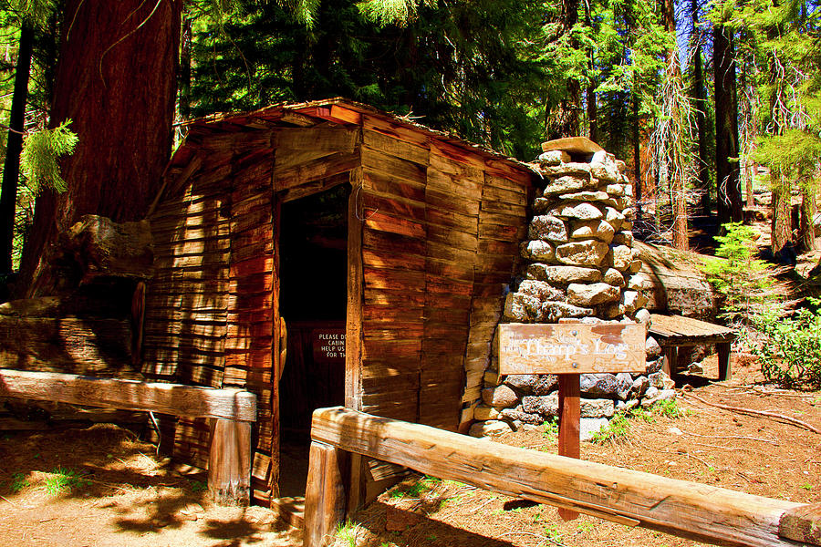 Cabin over Tharps Log near Crescent Meadow Trail in Sequoia National Park, California Photograph by Ruth Hager
