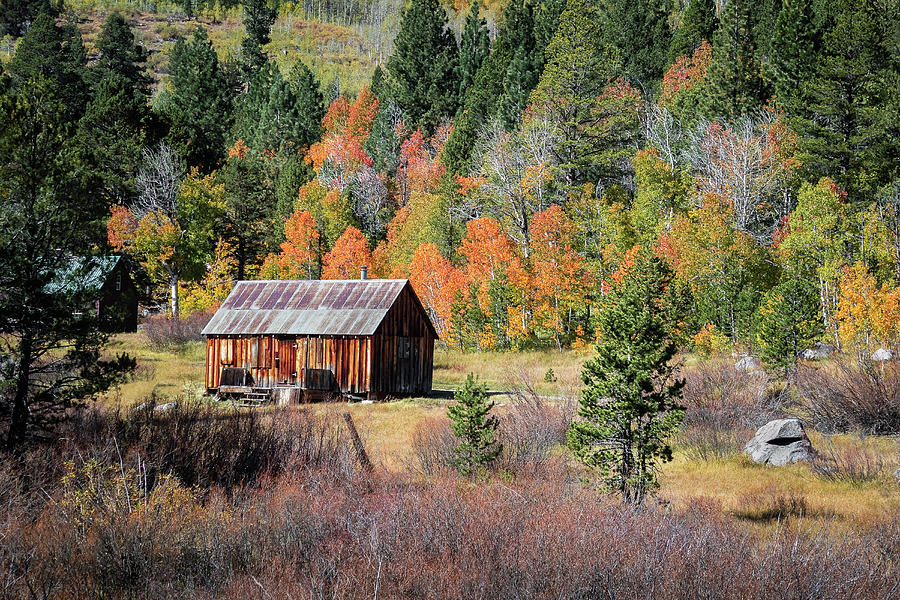 Hope Valley Cabin with Autumn Colors Photograph by Gary Geddes