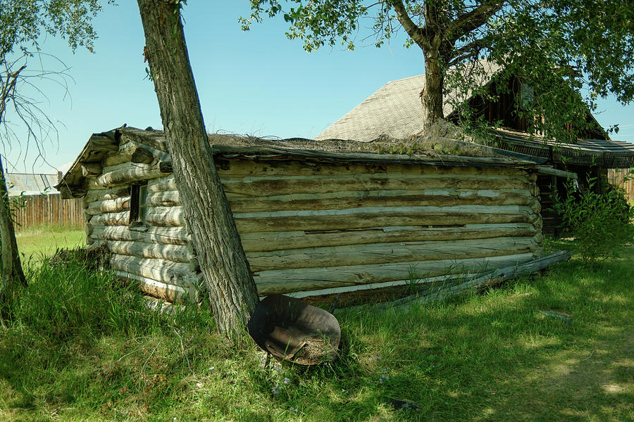 Cabin With Grass Growing On The Roof Photograph