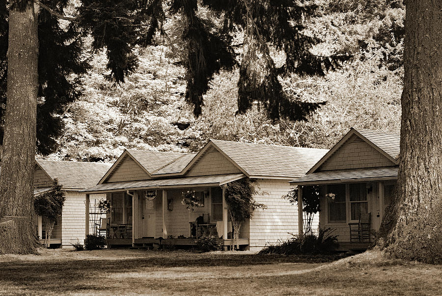 Cabins at Lake Crescent Lodge in BW Sepia Photograph by Connie Fox