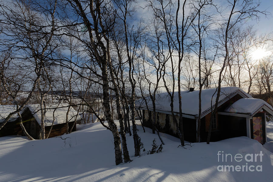 Cabin Photograph - Cabins in the Snow by Eva Lechner