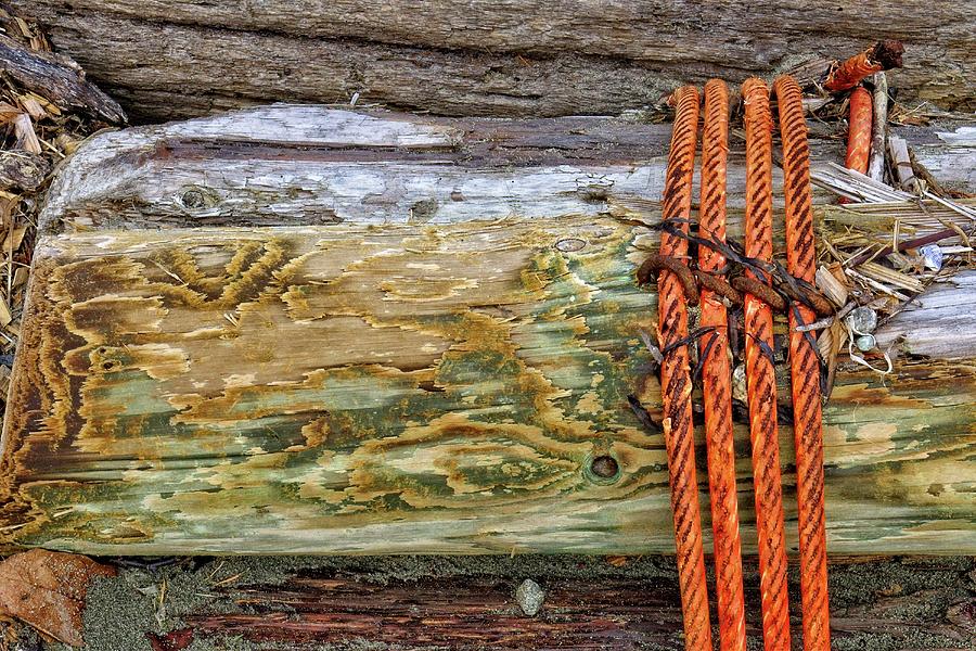 Cable Around A Log Digital Art by David Desautel