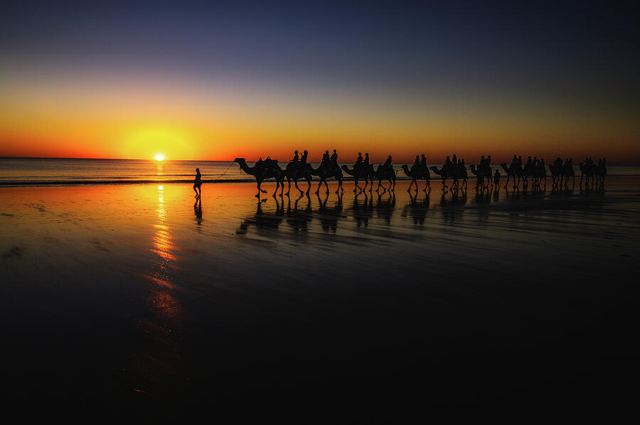 Sunset Photograph - Cable Beach Camels by Jan Fijolek