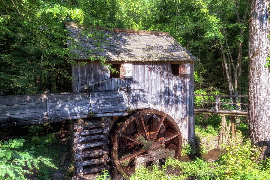 Cable Mill - Great Smoky Mountains Photograph by Susan Rissi Tregoning