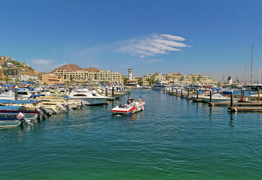 Cabo Port Marina Photograph by Darryl Brooks
