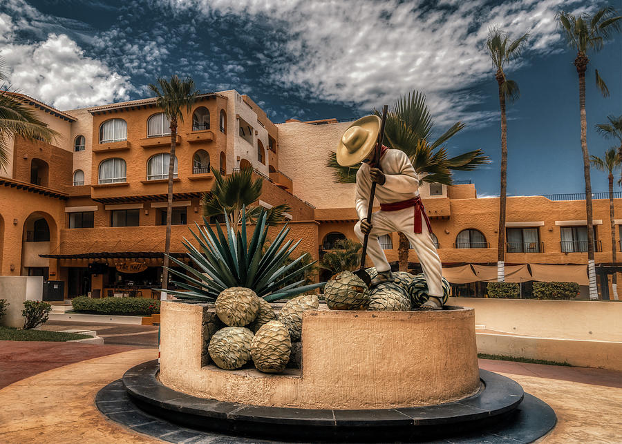 Cabo San Lucas binder plaza Photograph by Micah Offman