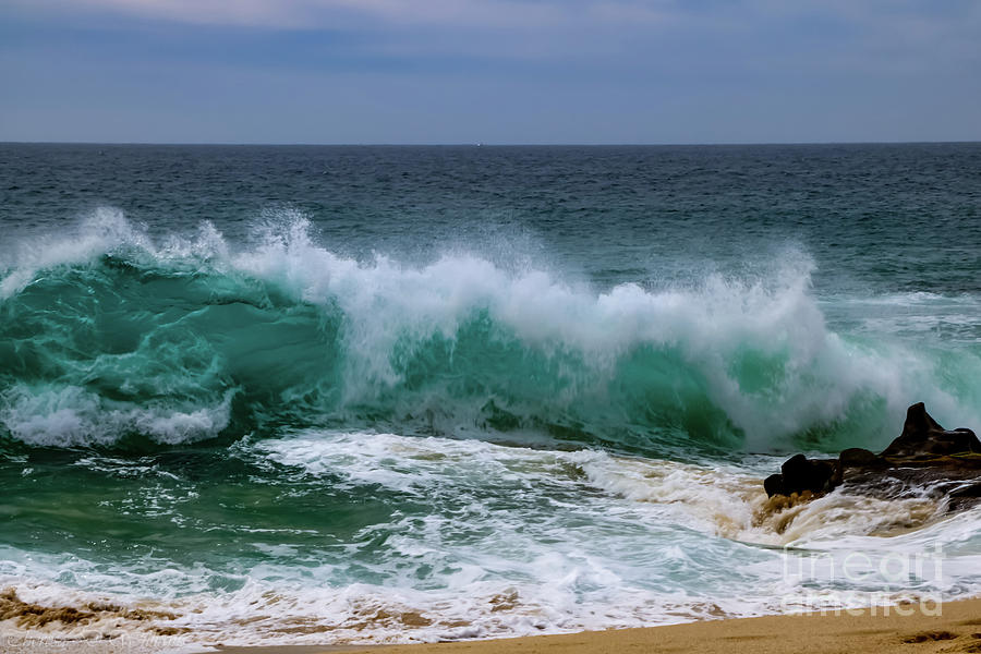 Cabo Wave  Photograph by Theresa D Williams