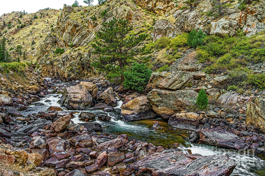 Cache La Poudre Canyon Rapids Photograph by Jon Burch Photography