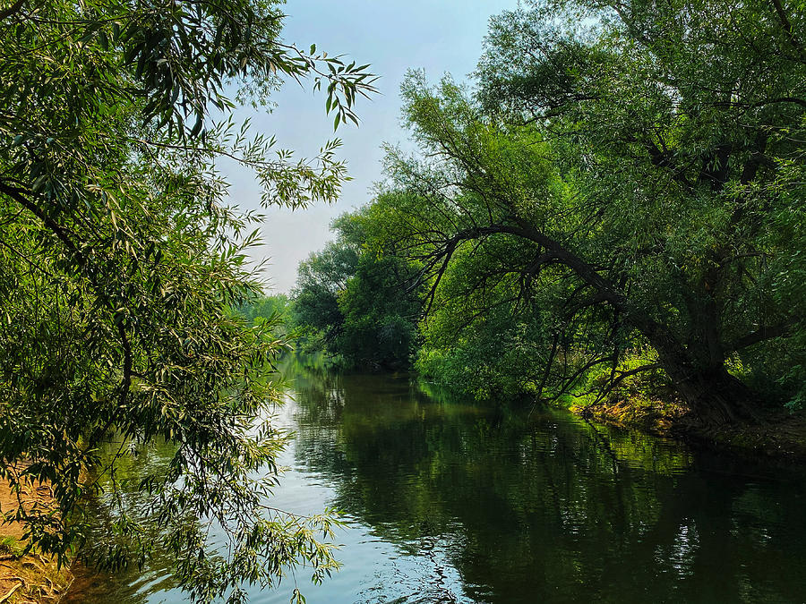 Cache la Poudre River Photograph by Dan Miller