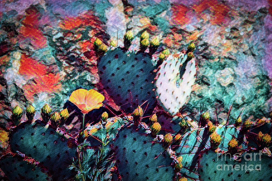 Cacti On Drugs Photograph by Jon Burch Photography