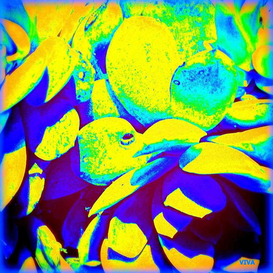 Cactus Abstract Illuminare Photograph by VIVA Anderson