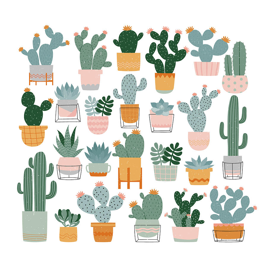 Cactus and succulents in pots on white background. Different home plants by  Julien