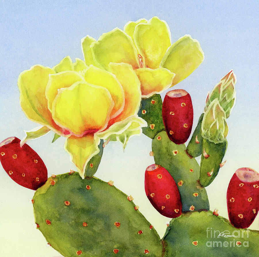 Cactus Bloom - Prickly Pear Painting