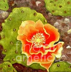 Cactus Flower Painting by Lynda Evans