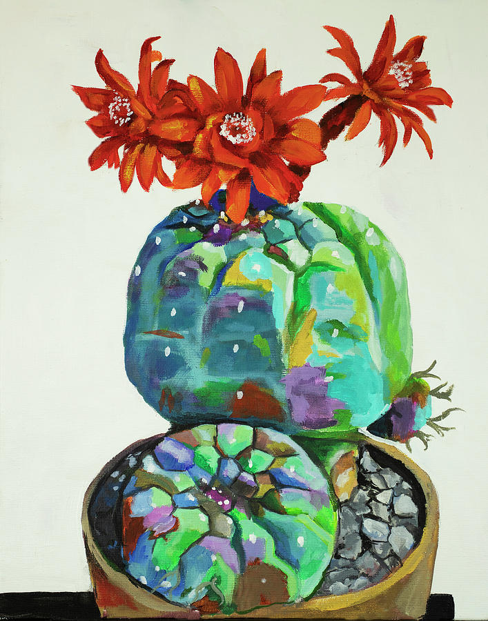 Cactus flowers Painting by Debbie Brown
