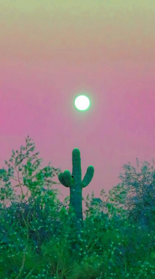 Cactus Full Moonrise In Aries Photograph