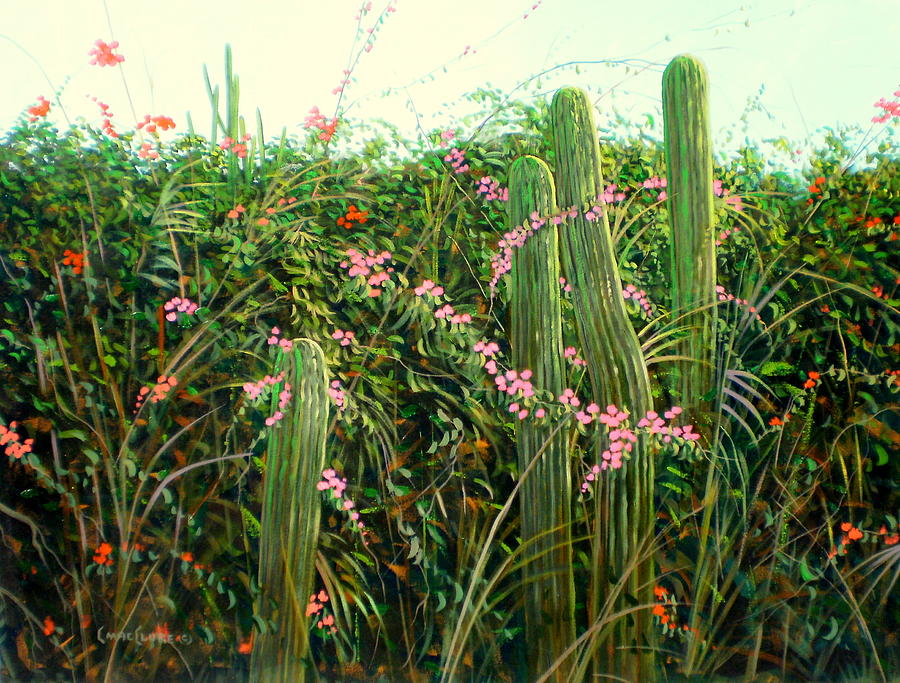 Cactus Garden Painting by Chris MacClure