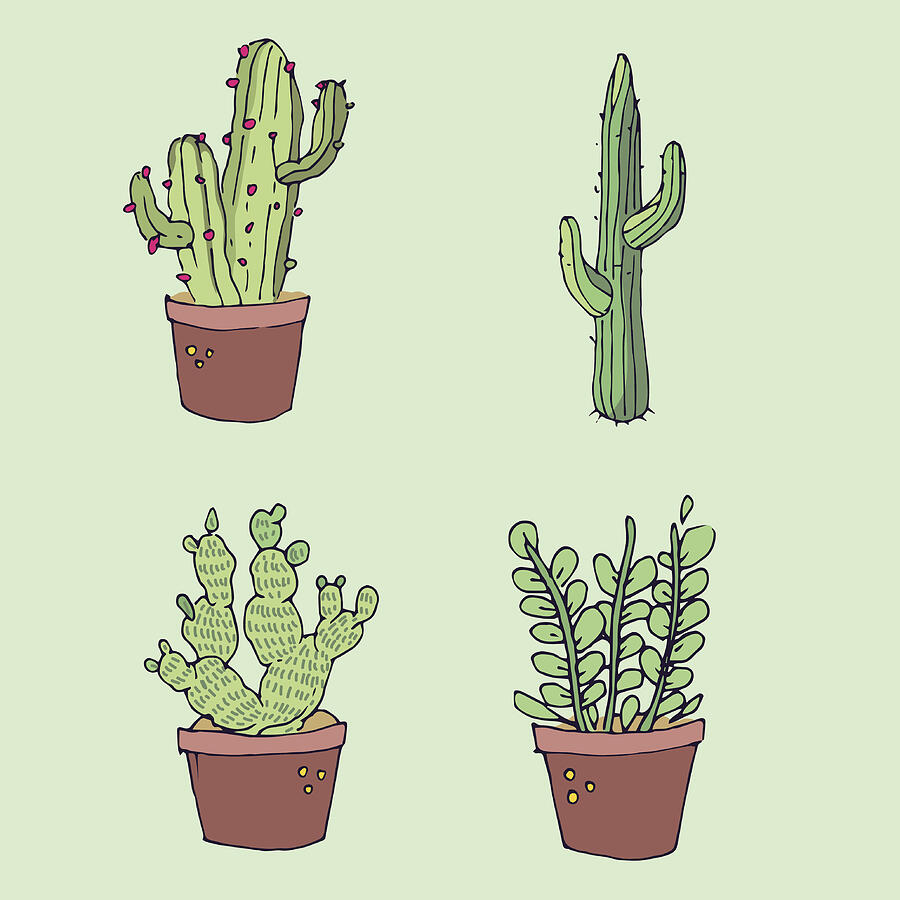 Cactus icon sets. Vector illustration Drawing by Yuyutbaskoro
