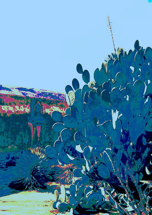 Cactus Impression Photograph by M Diane Bonaparte