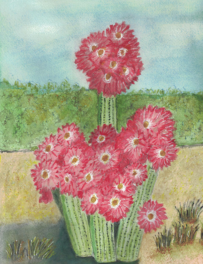 Cactus in Bloom Painting by Mary M Collins