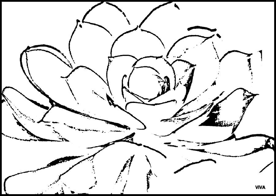 Cactus - Minimalism Sketch Drawing by VIVA Anderson