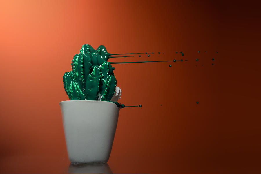 Cactus model with green paint blowing off it Photograph by Antonioiacobelli
