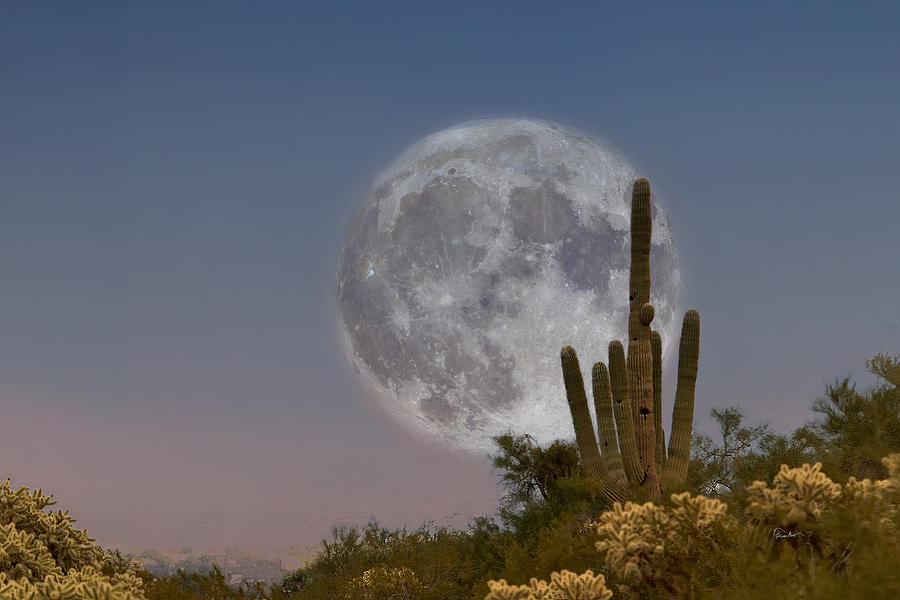 Cactus Moonrise Photograph by Russ Harris