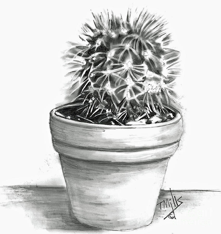 Cactus Drawing by Terri Mills