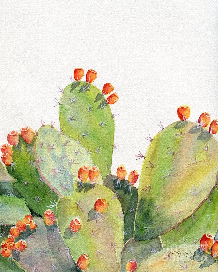 Cactus Watercolor 3 Painting by Melly Terpening