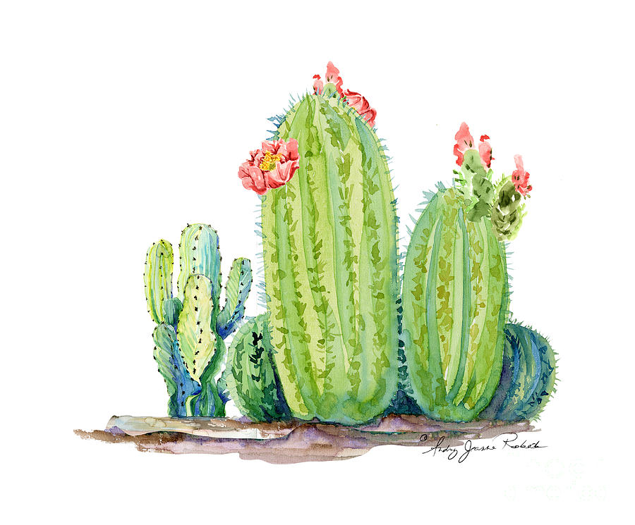 Cactus with Pink Flowers Garden Succulents Watercolor Painting by Audrey Jeanne Roberts