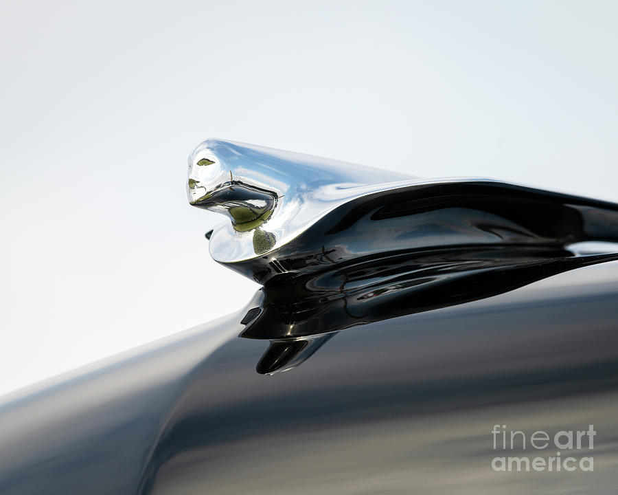 Cad Hood Ornament Photograph by Dennis Hedberg