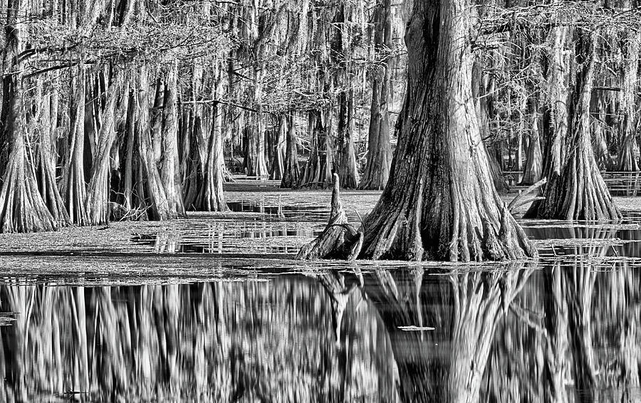 Caddo Color Black and White Photograph by JC Findley